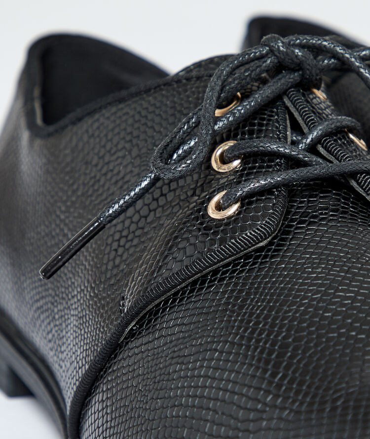 Derby shoes in scale look black.
